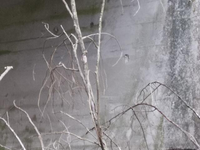 Ein Mahnmal für die Schrecken des Krieges | Foto: Heike Schwitalla