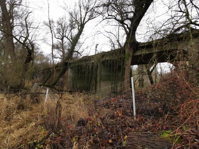 Blick auf die Überreste der alten Brücke auf der badischen Seite | Foto: Paul Needham