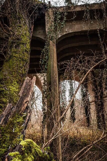 Blick auf die Überreste der alten Brücke auf der badischen Seite, hier an der Auffahrt zum eigentlichen Brückenbau - ein verwunschener Ort - ein lost place | Foto: Paul Needham