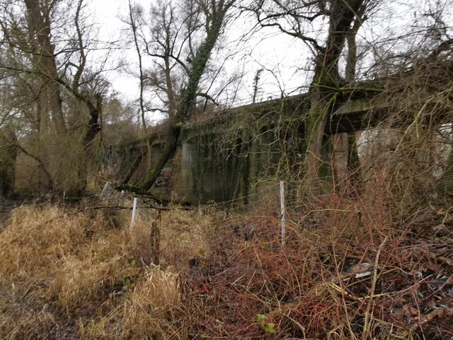 Blick auf die Überreste der alten Brücke auf der badischen Seite | Foto: Heike Schwitalla