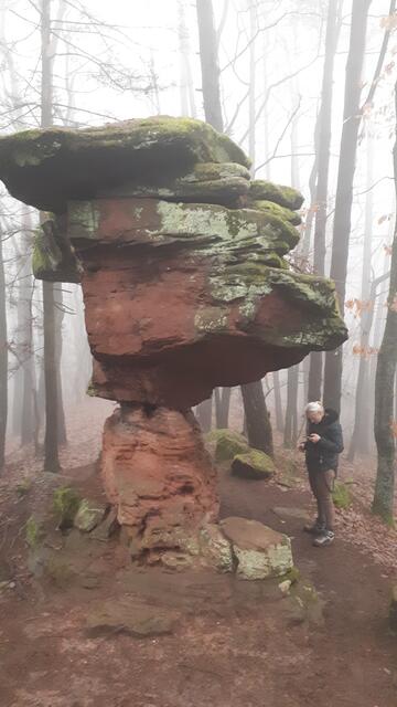 Foto: Markus Pacher