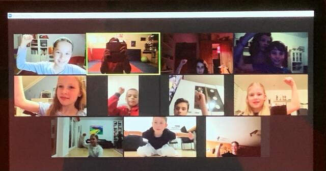 Training via Zoom | Foto: ps