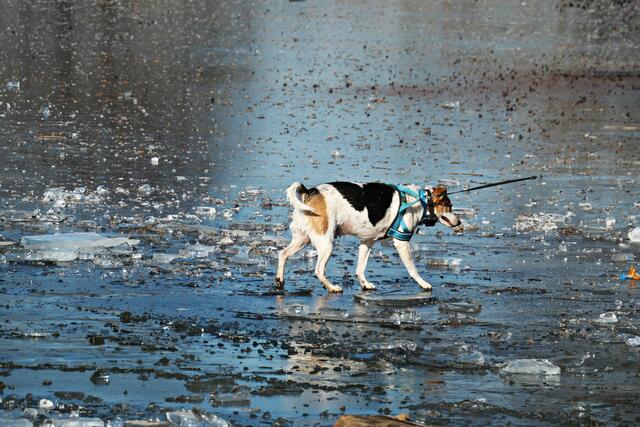 Brrrr war das kalt | Foto: Brigitte Melder