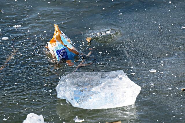 Ist das Kunst oder kann das weg? - In dem Fall kann weg | Foto: Brigitte Melder