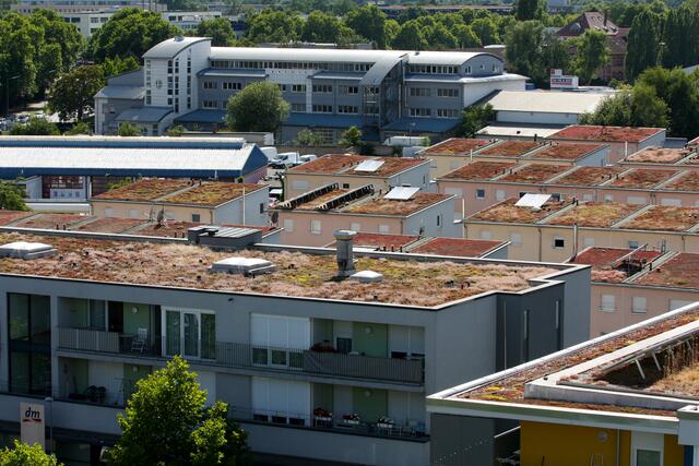 Begrünte Dächer in Durlach | Foto: Archiv www.jowapress.de