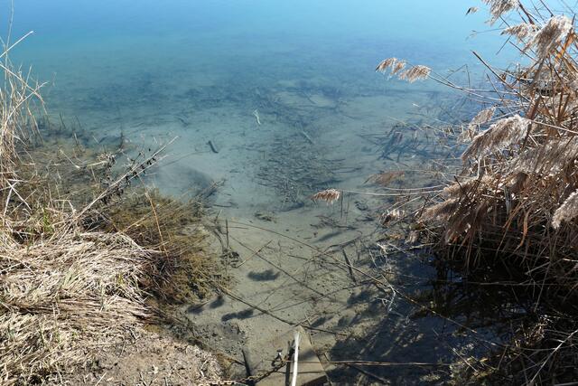 Glasklares Wasser wie in der Karibik - das ist die Schlicht! | Foto: Brigitte Melder