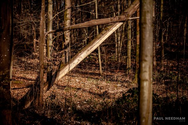 Foto: Paul Needham