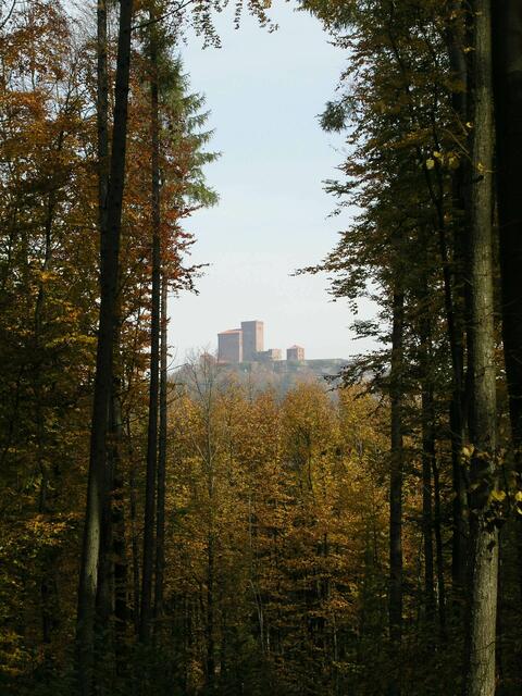 Blick zum Trifels. | Foto: Bender