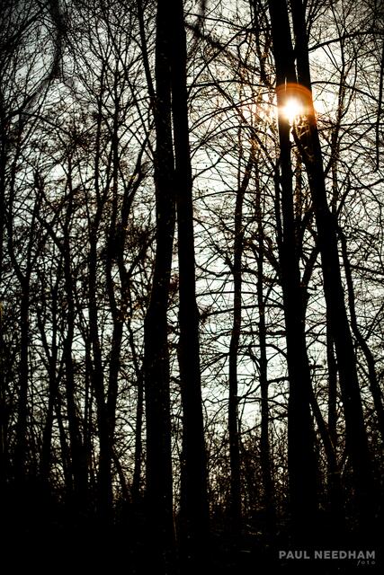 Foto: Paul Needham