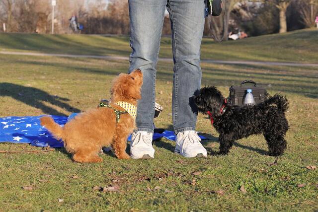 Paul und Valentino | Foto: Maike Müller