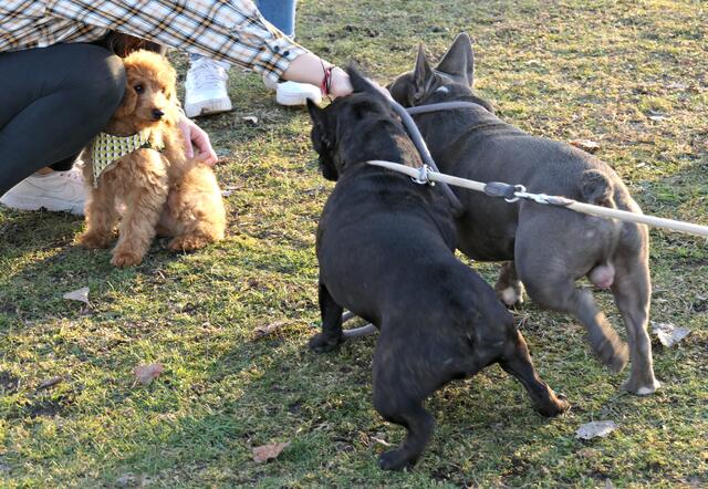 Das ist ihm nicht ganz geheuer :-) | Foto: Brigitte Melder