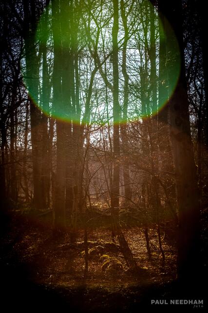 Foto: Paul Needham