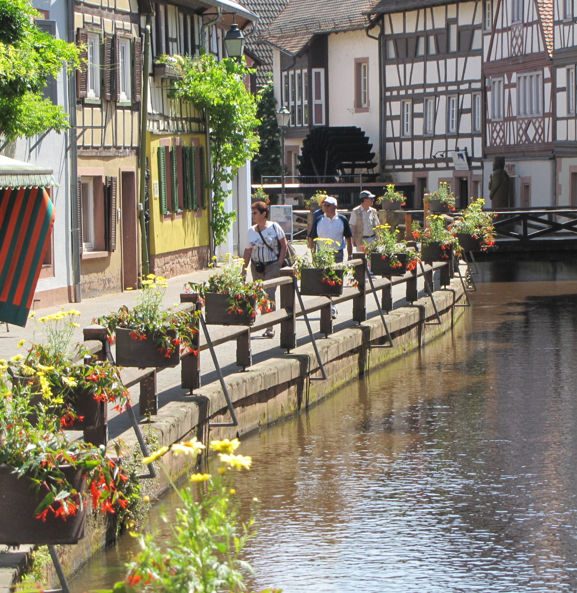Eine sehenswerte Stadt mit großer Geschichte Annweiler am Trifels