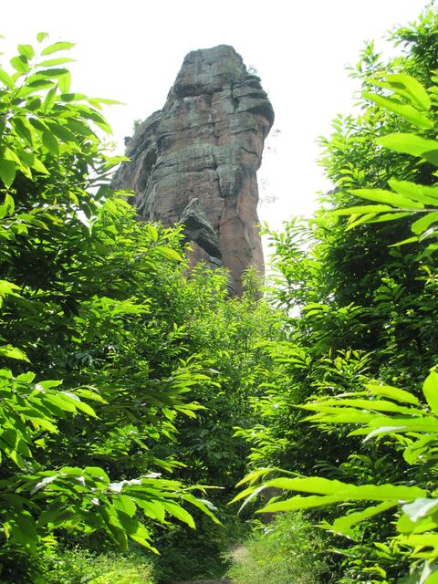 Kletterparadies Pfalz: der Asselstein in Annweiler | Foto: Bender