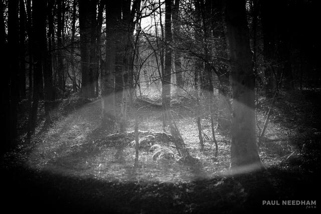 Foto: Paul Needham