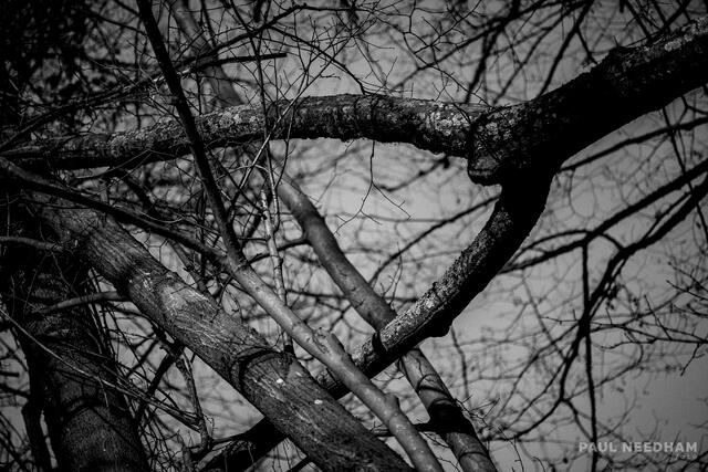 Foto: Paul Needham