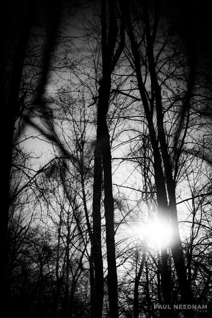 Foto: Paul Needham