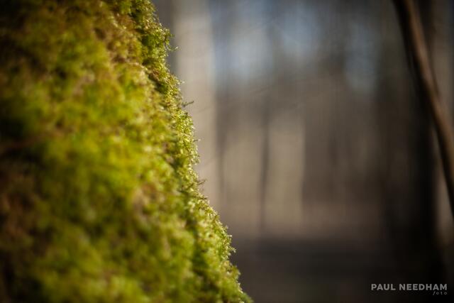Foto: Paul Needham