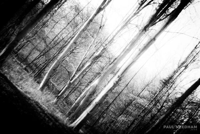 Foto: Paul Needham