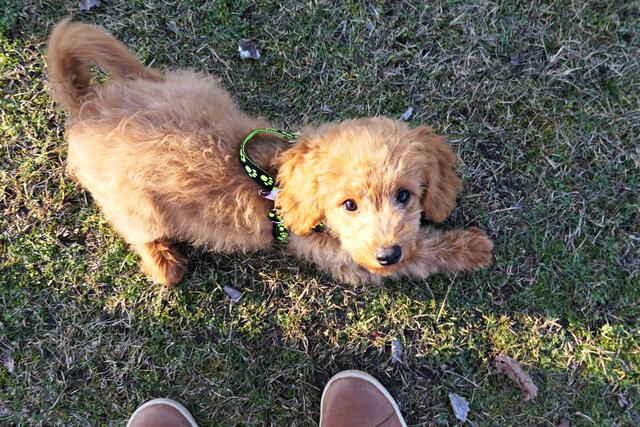 Was guggst du? So drollig :-) | Foto: Brigitte Melder