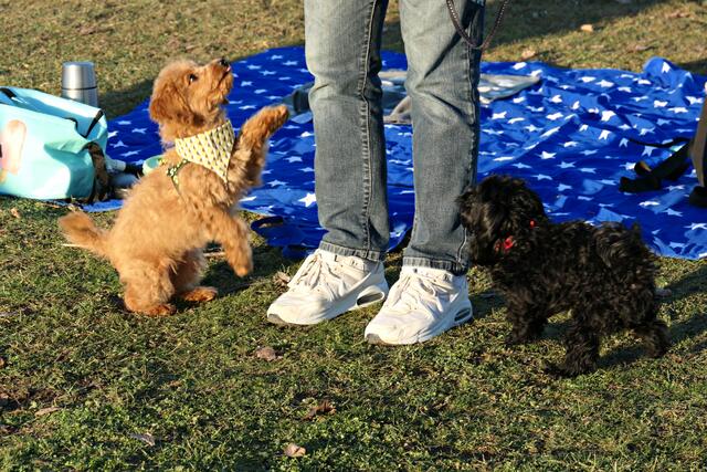 Nimm mich bitte hoch | Foto: Brigitte Melder