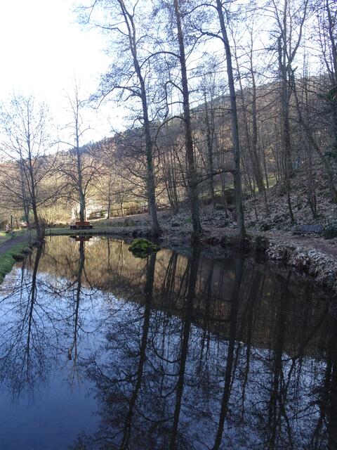 Bellachini-Weiher. | Foto: Markus Pacher