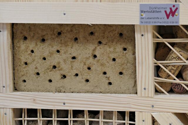 Hier holen sich die Insekten den Lehm heraus | Foto: Brigitte Melder