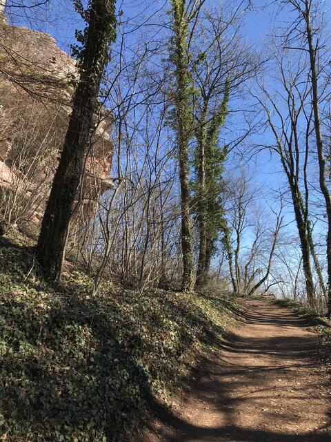 Burg Lindelbrunn wurde hoch oben auf Felsen errichtet. | Foto: B. Bender