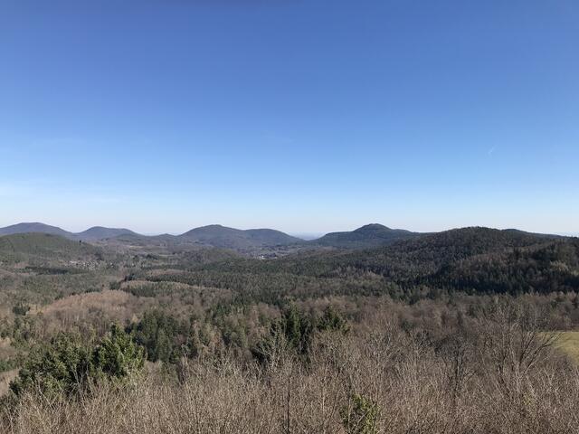 Blick Richtung Rheinebene.  | Foto: B. Bender