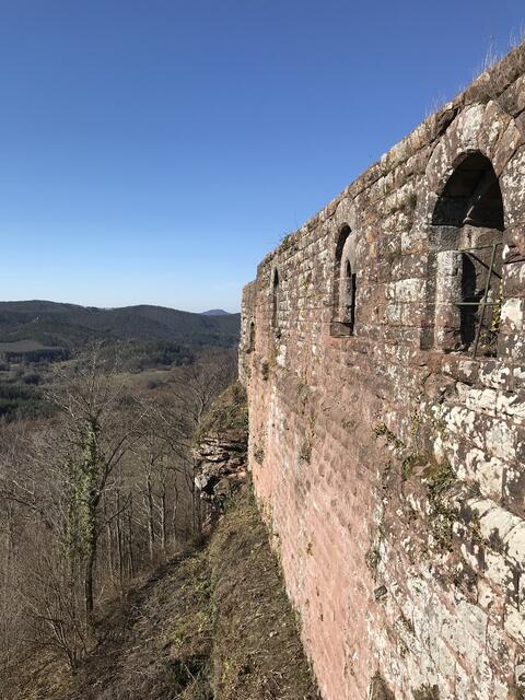 Burgruine Lindelbrunn: Außenansicht der Palasreste mit Fensteröffnungen. | Foto: B. Bender