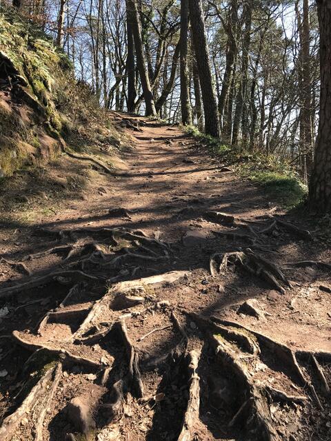 Interessanter Weg zur Burg Lindelbrunn. | Foto: B. Bender