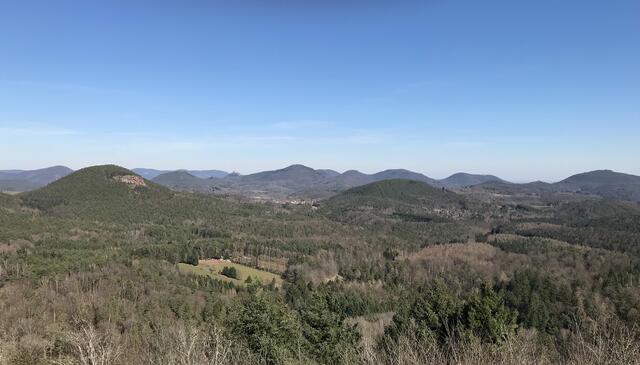 Blick von der Lindelbrunn zur Burg Trifels | Foto: B. Bender