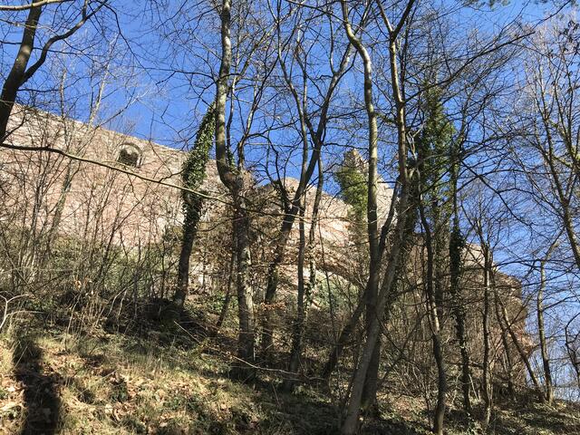 Ein erster Blick zur Burgruine Lindelbrunn | Foto: B. Bender
