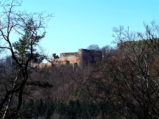 Burg Neu-Scharfeneck | Foto: Markus Pacher