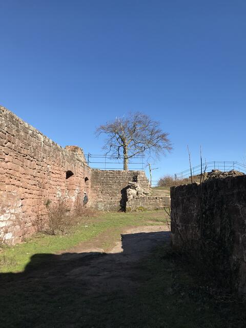 Auf der Lindelbrunn | Foto: B. Bender