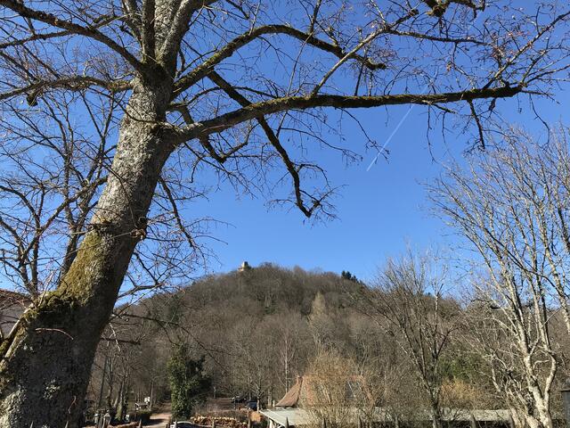 Die Ruine Lindelbrunn liegt in circa 440 Metern Höhe auf dem Schloßberg mitten im Pfälzer Wald. | Foto: B. Bender