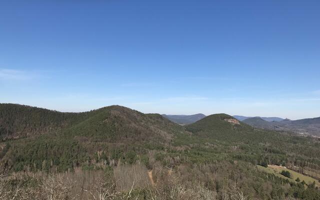 Der Trifels ist hier weiter rechts zu sehen.  | Foto: B. Bender