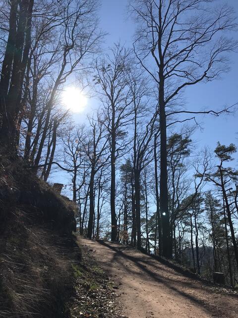 Der Sonne entgegen, hinauf zur Lindelbrunn | Foto: B. Bender