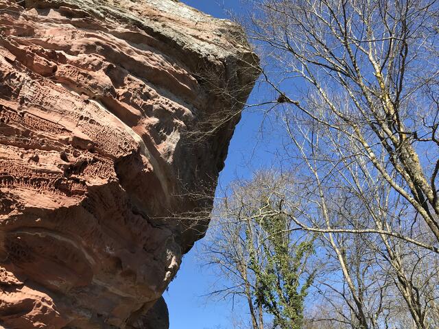 Der Burgfelsen der Lindelbrunn - eine Herausforderung für Kletterer. | Foto: B. Bender