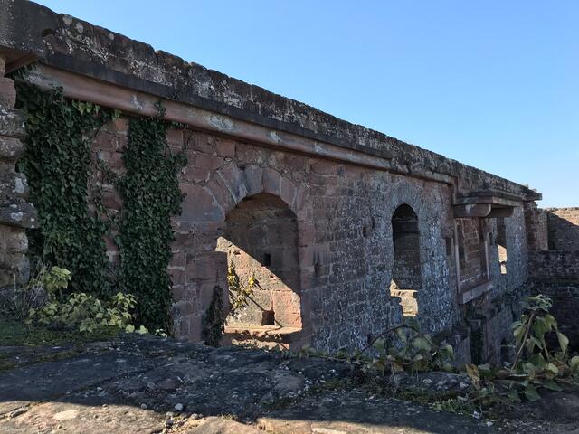 Fenster und interessante Kaminreste der Burg Lindelbrunn | Foto: B. Bender