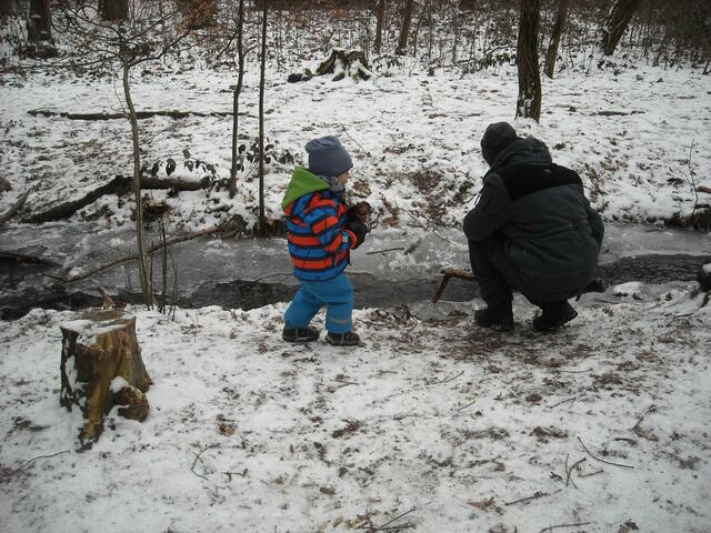 Im Haßlocher Wald