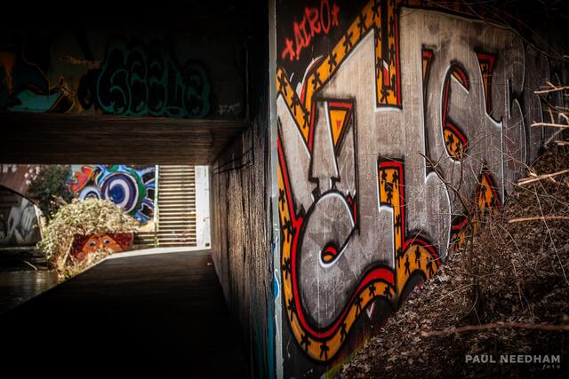 Foto: Paul Needham