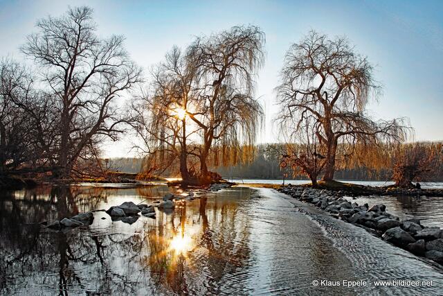 Aussichtspunkt Belle am Rhein bei Eggenstein | Foto: Klaus Eppele