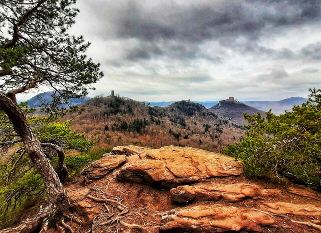 Ausblick vom Slevogtfelsen auf Trifels, Anebos und Münz | Foto: Anita Lemmert 