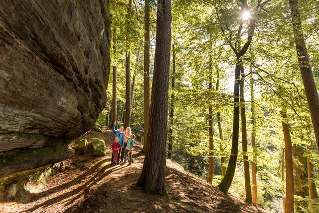 Unterwegs auf dem Rodalber Felsenwanderweg