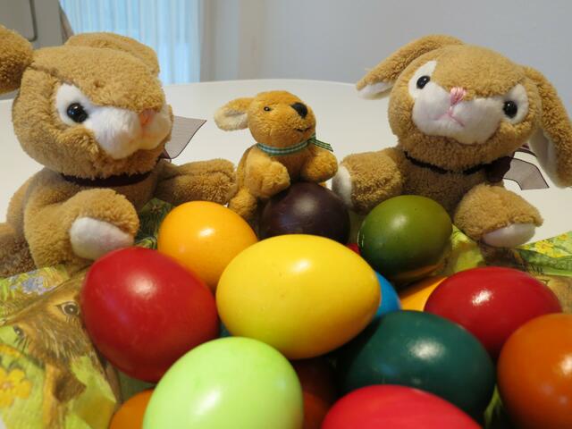 Frohe Ostern! | Foto: Boris Bohr 