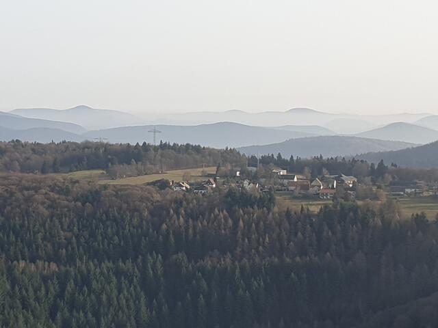 Blick vom Luitpoldturm über den Pfälzerwald | Foto: Ralf Vester