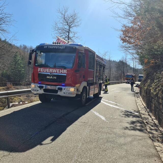 Zwei Schwerverletzte bei einem Motorradunfall im Elmsteiner Tal | Foto: Freiwillige Feuerwehr Stelzenberg