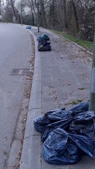 Um die Abholung zu erleichtern, sammelten die Helfer die Säcke am Straßenrand, hier an der Notwendestraße | Foto: Siedlergemeinschaft BASF-Notwende