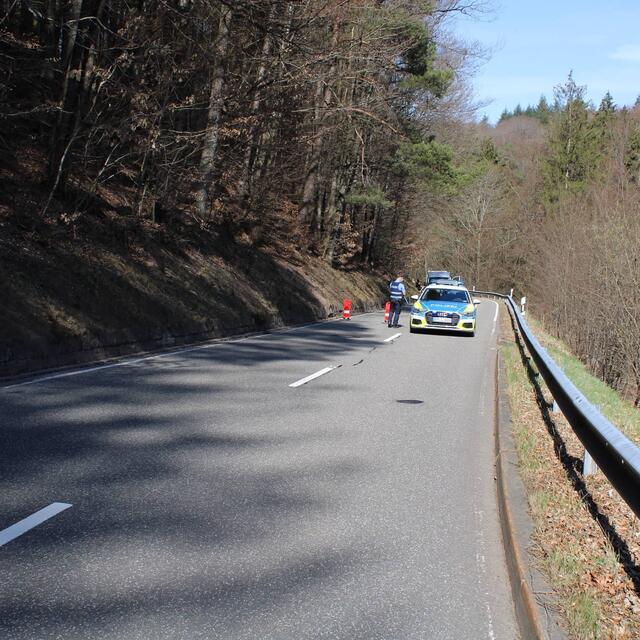 Zwei Schwerverletzte bei einem Motorradunfall im Elmsteiner Tal | Foto: Freiwillige Feuerwehr Stelzenberg